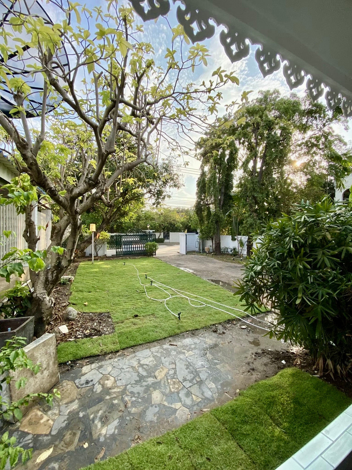 Panya Village Pattanakarn 30 Rent: 235sqwah 330sqm. 5bed 6bath 100,000/mth. Am: 0656199198 Loading...