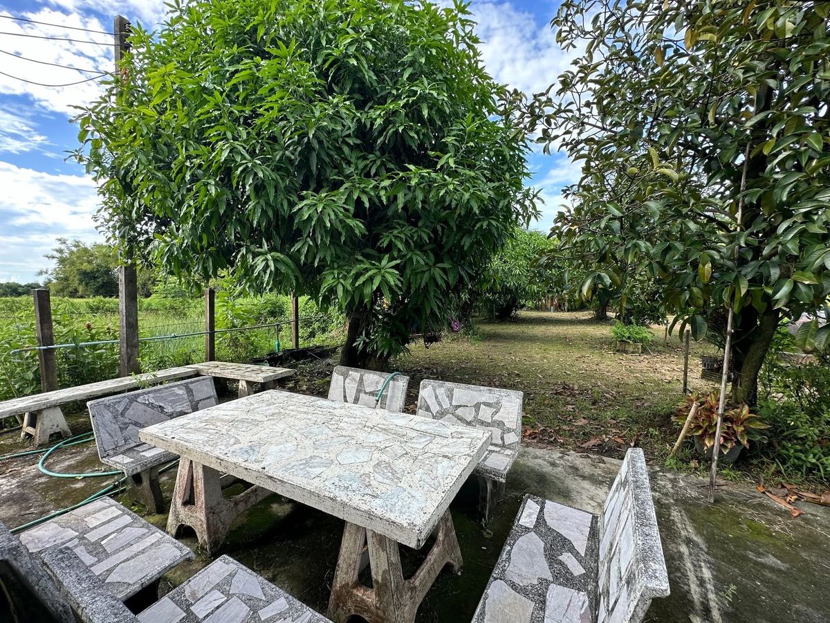 For SaleLandNakhon Nayok : Fruit Farm with 2 Houses for Sale in Nakhon Nayok Province Thailand