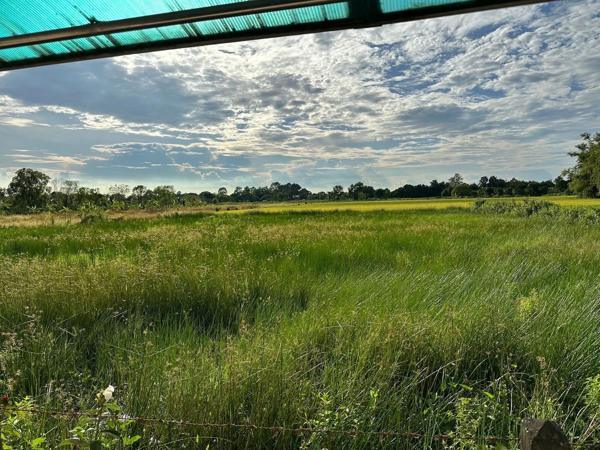 For SaleLandNakhon Nayok : Fruit Farm with 2 Houses for Sale in Nakhon Nayok Province Thailand