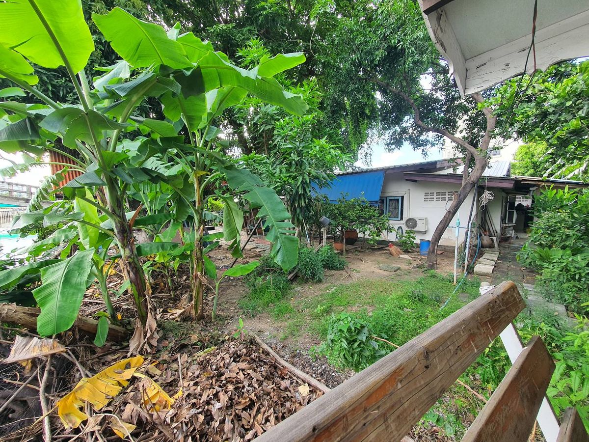 ขายกิจการโรงแรม & กิจการอพาร์ตเมนต์เกษตรศาสตร์ รัชโยธิน : ขายที่ดินพร้อมหอพัก เนื้อที่ 1 ไร่ ตรงข้ามมหาวิทยาลัยเกษตรศาสตร์บางเขน