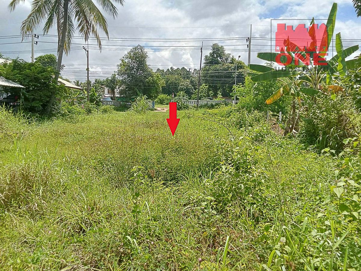 ขายที่ดินอุดรธานี : ที่ดินเปล่า 1 งาน  63 ตารางวา   อ.กุมภวาปี  จ.อุดรธานี