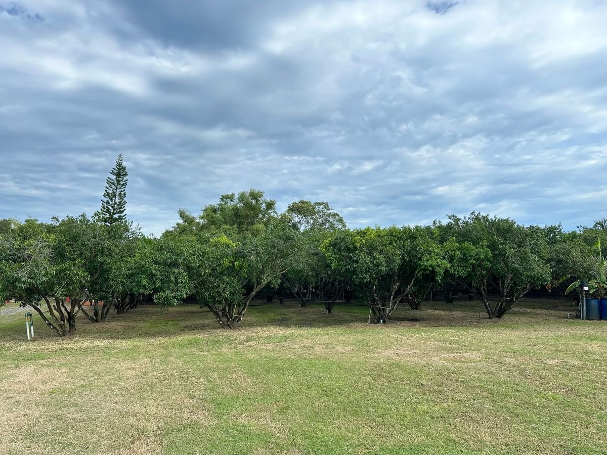 For SaleLandNakhon Nayok : Fruit Farm with 2 Houses for Sale in Nakhon Nayok Province Thailand