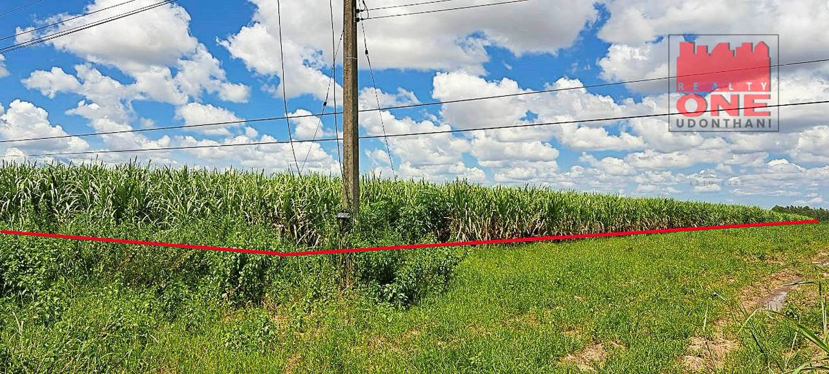 ขายที่ดินอุดรธานี : ที่ดินเปล่า  ต.ตาดทอง อ.ศรีธาตุ จ.อุดรธานี