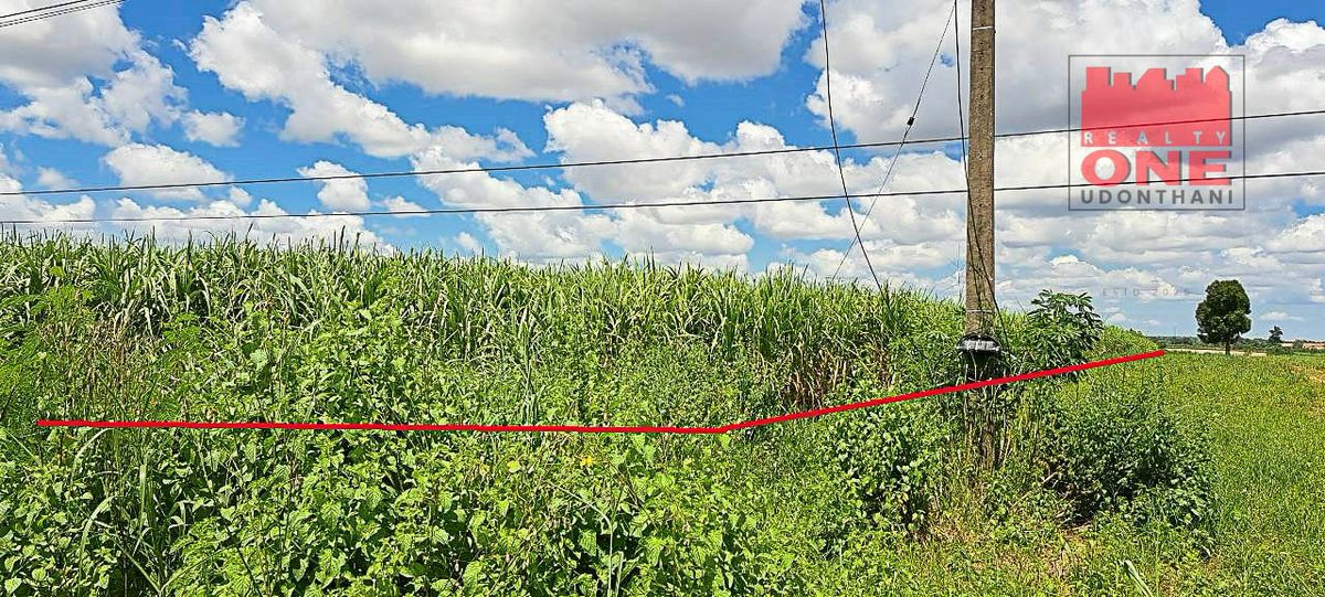 ขายที่ดินอุดรธานี : ที่ดินเปล่า  ต.ตาดทอง อ.ศรีธาตุ จ.อุดรธานี