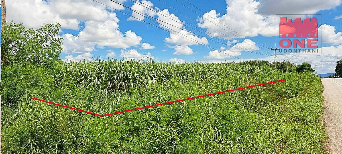 ขายที่ดินอุดรธานี : ที่ดินเปล่า  ต.ตาดทอง อ.ศรีธาตุ จ.อุดรธานี