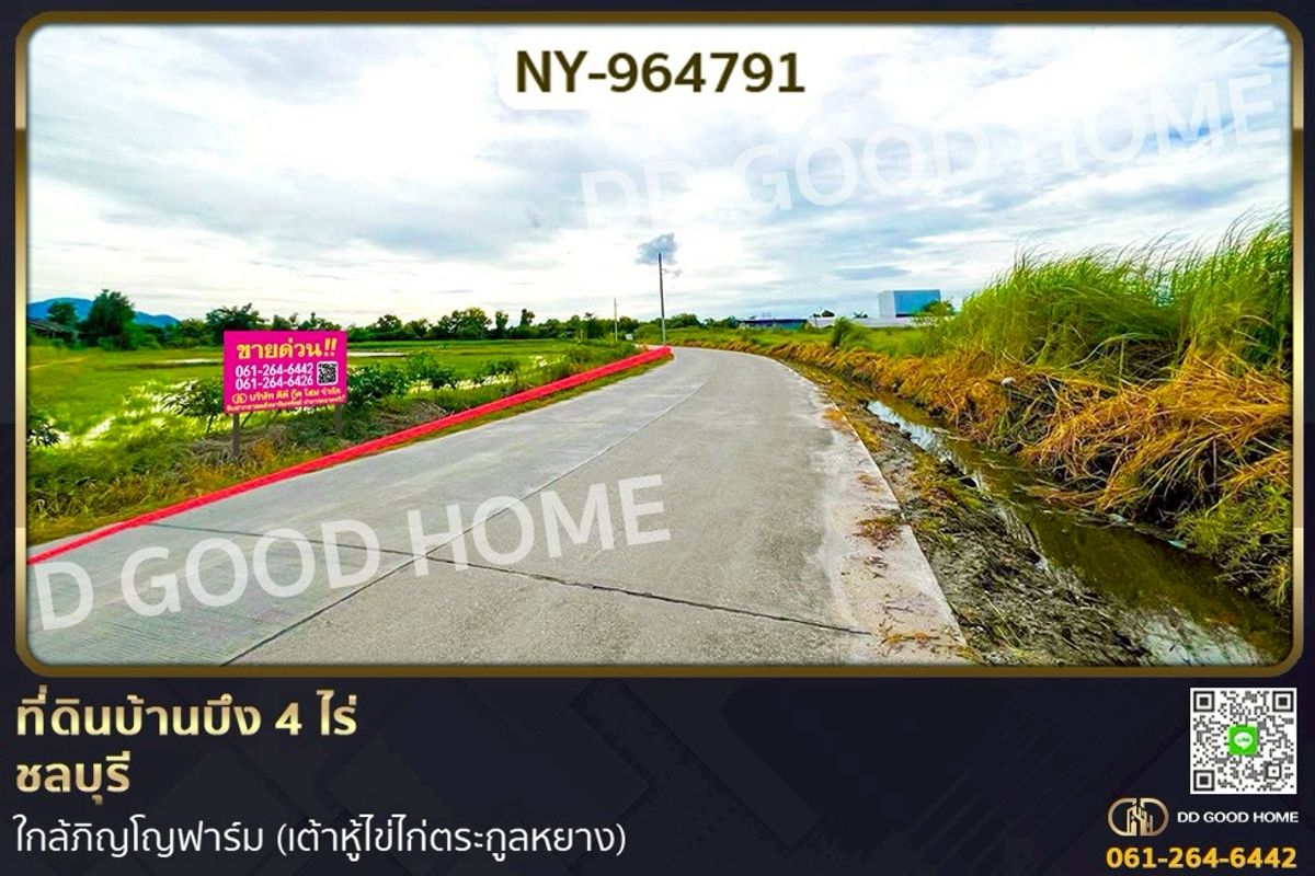 ขายที่ดินพัทยา บางแสน ชลบุรี สัตหีบ : NY-964791 ที่ดินบ้านบึง 4 ไร่ ชลบุรี ใกล้ภิญโญฟาร์ม (เต้าหู้ไข่ไก่ตระกูลหยาง)