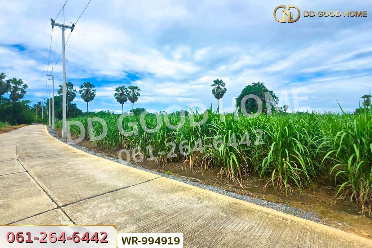 ขายที่ดินสุพรรณบุรี : WR-994919 ที่ดินทุ่งคอก 6 ไร่ 110 ตร.ว. สุพรรณบุรี ใกล้สำนักงานขนส่ง สาขาอำเภอสองพี่น้อง