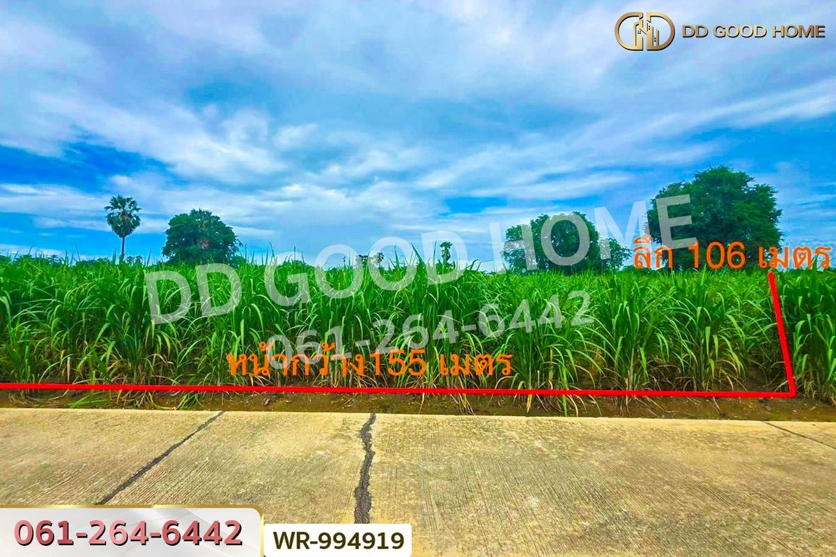 ขายที่ดินสุพรรณบุรี : WR-994919 ที่ดินทุ่งคอก 6 ไร่ 110 ตร.ว. สุพรรณบุรี ใกล้สำนักงานขนส่ง สาขาอำเภอสองพี่น้อง