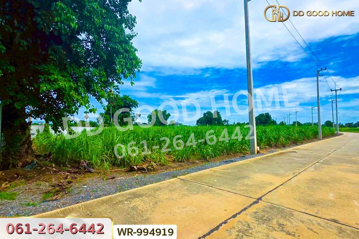 ขายที่ดินสุพรรณบุรี : WR-994919 ที่ดินทุ่งคอก 6 ไร่ 110 ตร.ว. สุพรรณบุรี ใกล้สำนักงานขนส่ง สาขาอำเภอสองพี่น้อง