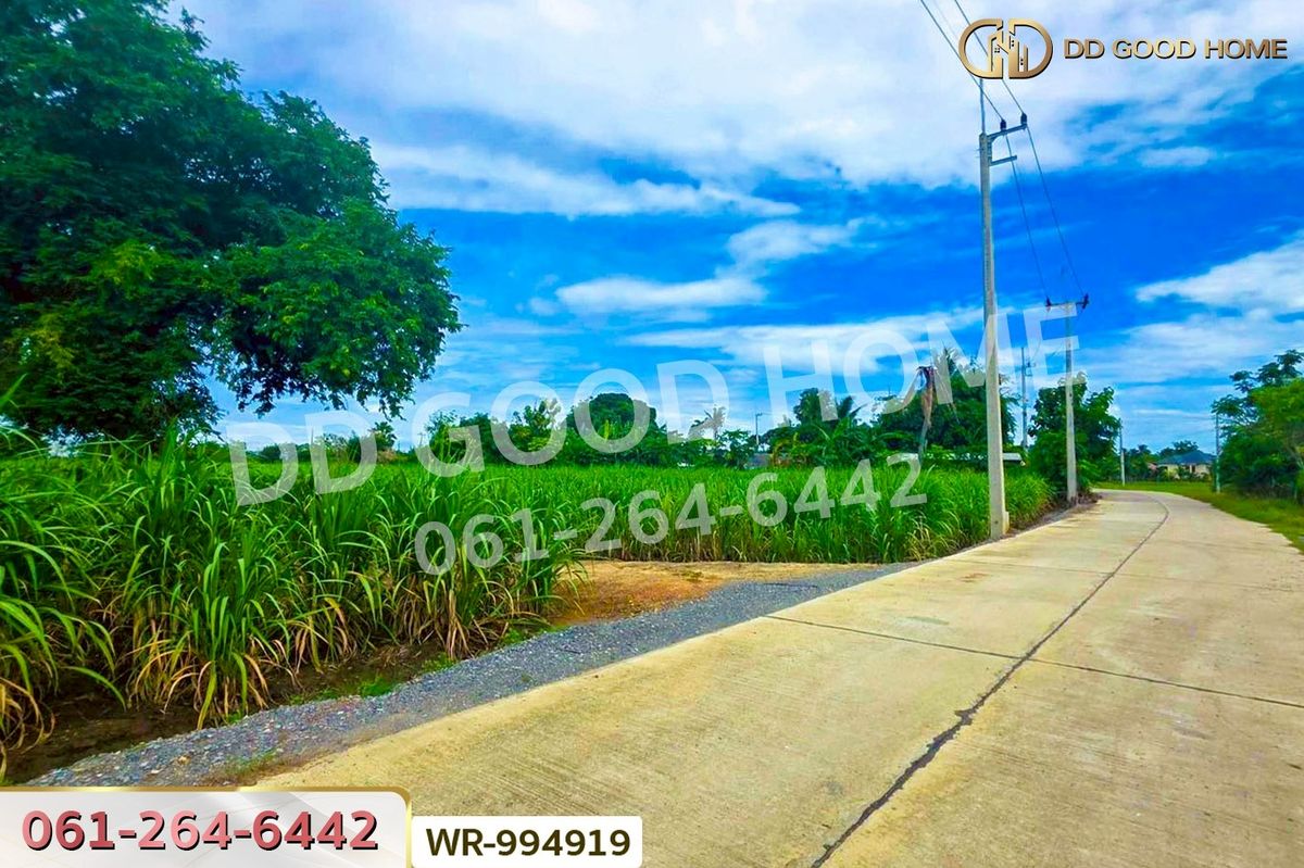 ขายที่ดินสุพรรณบุรี : WR-994919 ที่ดินทุ่งคอก 6 ไร่ 110 ตร.ว. สุพรรณบุรี ใกล้สำนักงานขนส่ง สาขาอำเภอสองพี่น้อง