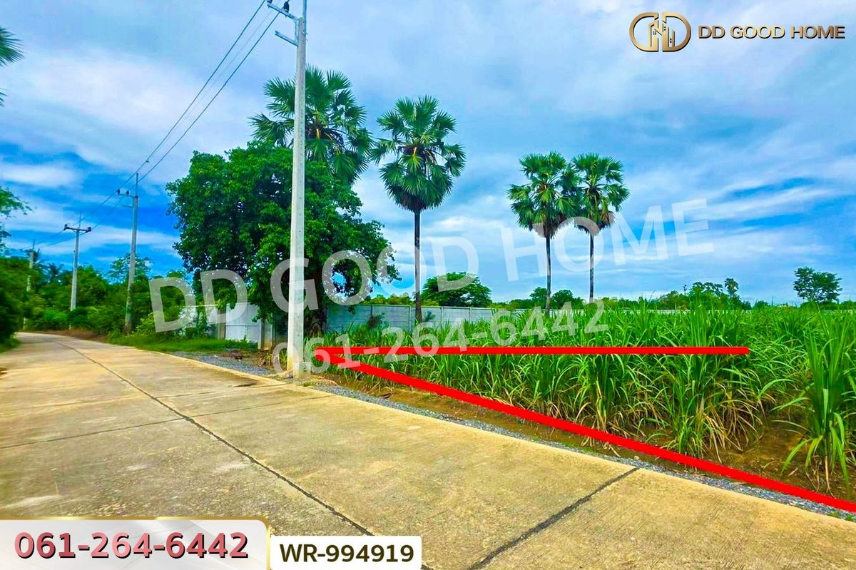 ขายที่ดินสุพรรณบุรี : WR-994919 ที่ดินทุ่งคอก 6 ไร่ 110 ตร.ว. สุพรรณบุรี ใกล้สำนักงานขนส่ง สาขาอำเภอสองพี่น้อง