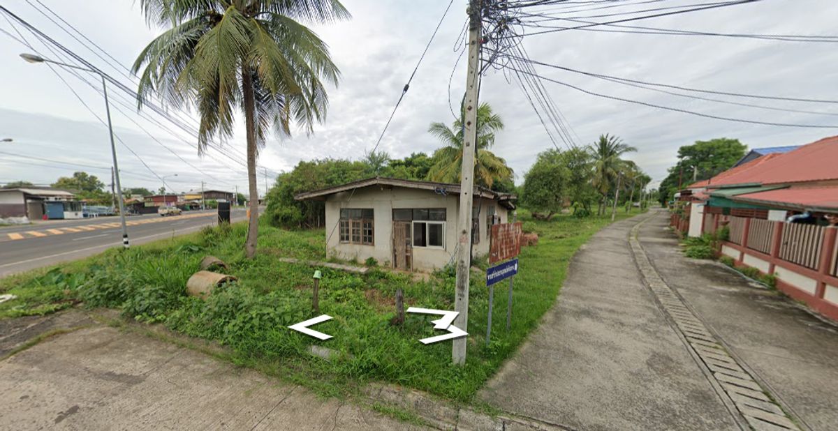 ขายที่ดินบุรีรัมย์ : ขายด่วนที่ดินในเขตเทศบาลนางรอง ติดถนน 3 ด้าน