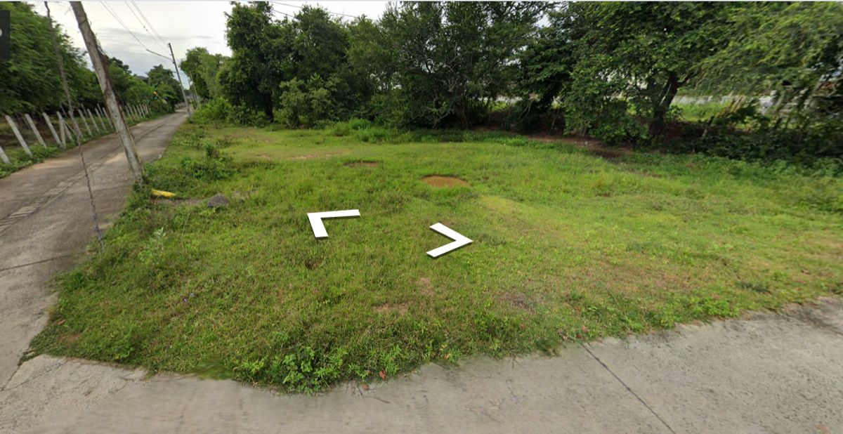 ขายที่ดินบุรีรัมย์ : ขายด่วนที่ดินในเขตเทศบาลนางรอง ติดถนน 3 ด้าน