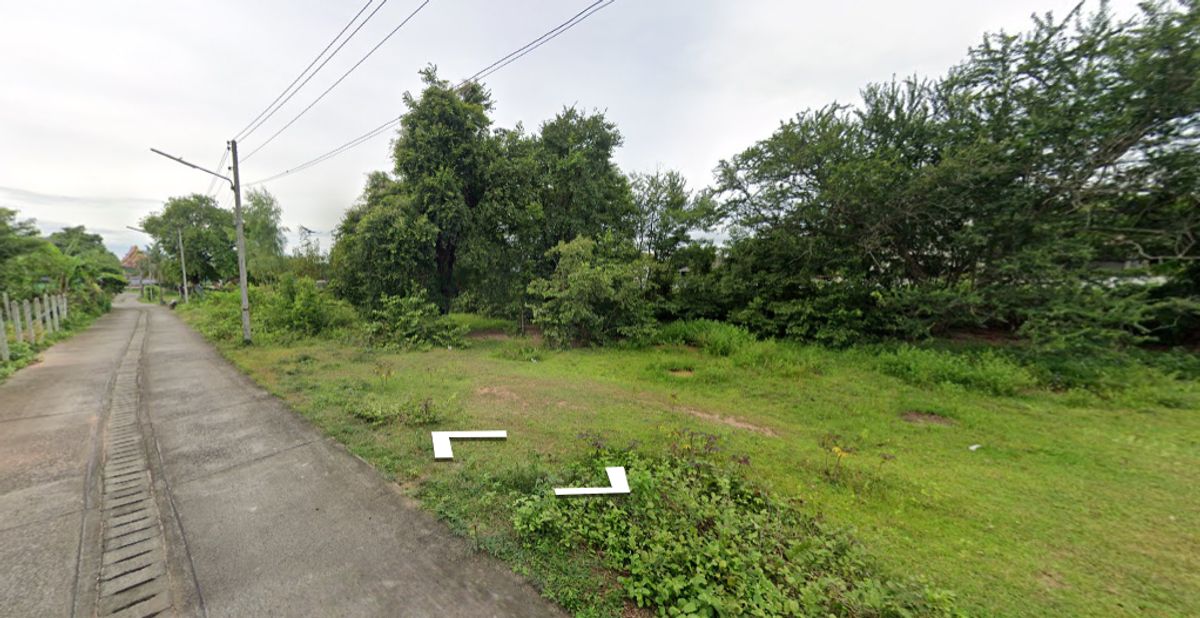 ขายที่ดินบุรีรัมย์ : ขายด่วนที่ดินในเขตเทศบาลนางรอง ติดถนน 3 ด้าน