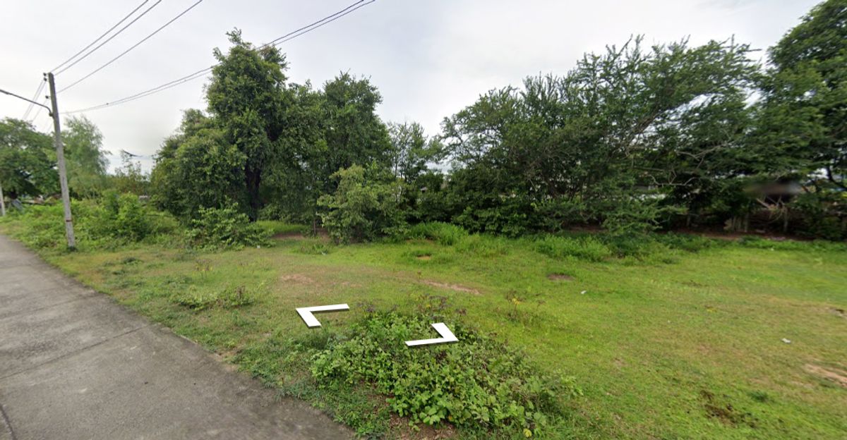 ขายที่ดินบุรีรัมย์ : ขายด่วนที่ดินในเขตเทศบาลนางรอง ติดถนน 3 ด้าน