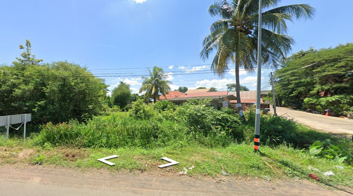 ขายที่ดินบุรีรัมย์ : ขายด่วนที่ดินในเขตเทศบาลนางรอง ติดถนน 3 ด้าน