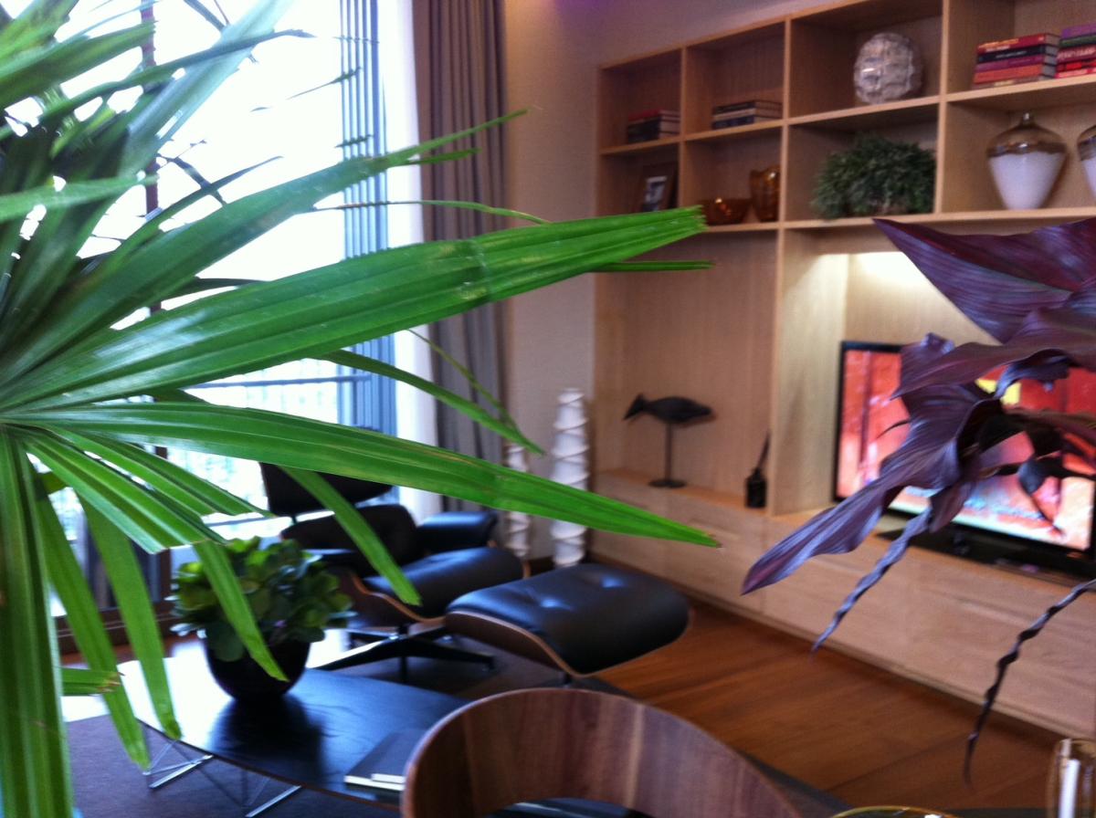 For SaleCondoSukhumvit, Asoke, Thonglor : 03/04/2026, For sale-rent Condo Quattro by Sansiri 2 bedrooms in the heart of Thonglor
Close to BTS Thonglor Market Place, only 30 m. Starting from 16.2 million / Rent 60,000 THB. 0642748883