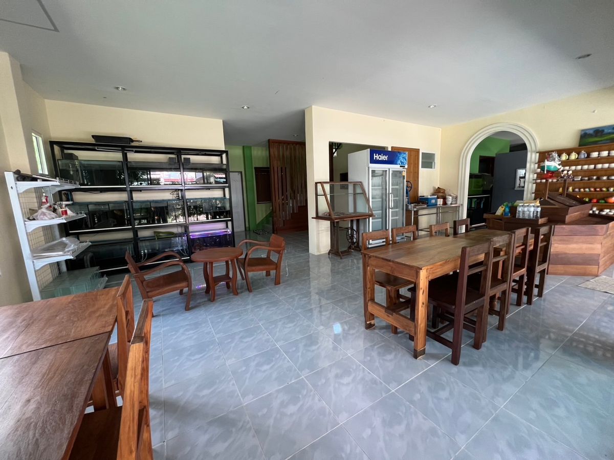 ขายอาคารพาณิชย์เชียงใหม่ : ขายอาคารพาณิชย์ ซอยหมอประมวล ตำบลหนองหาร อำเภอสันทราย จังหวัดเชียงใหม่