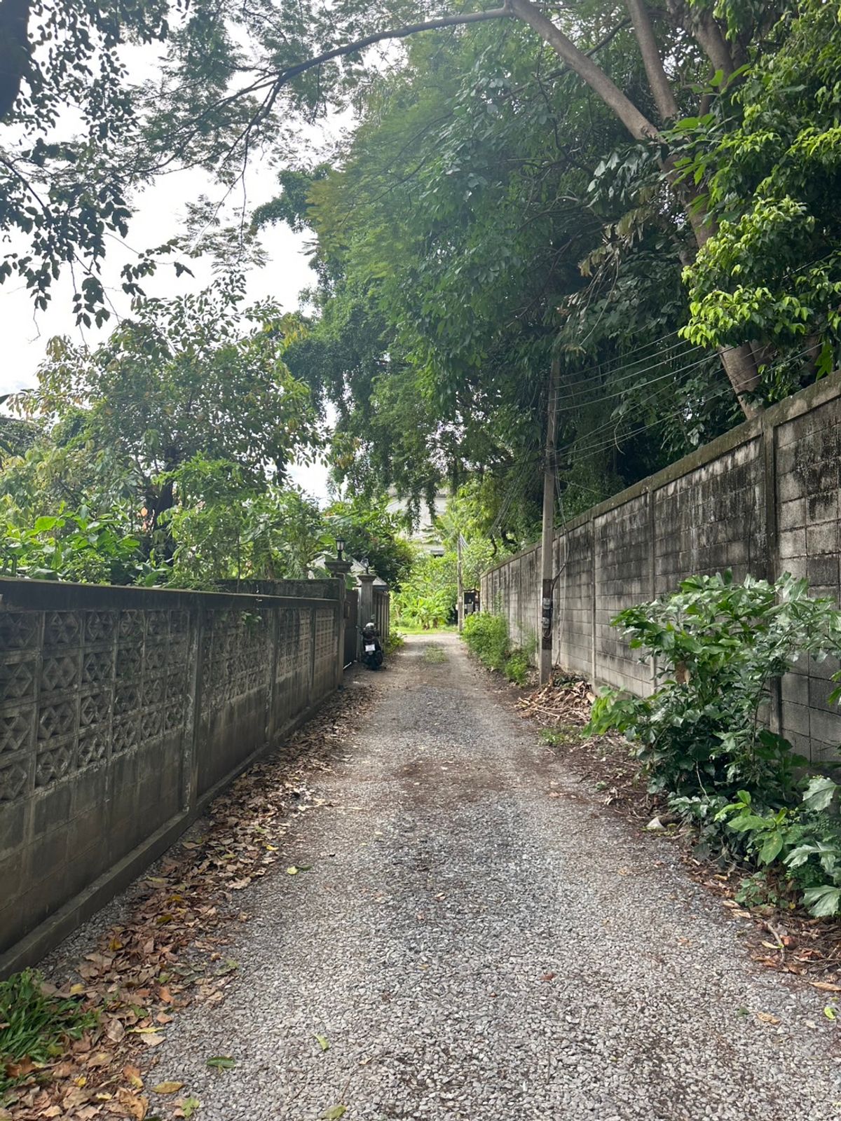 ขายบ้านนนทบุรี บางใหญ่ บางบัวทอง : ขายบ้านเดี่ยว 2 ชั้น ซอยติวานนท์ 3/1 ต.ตลาดขวัญ จ.นนทบุรี