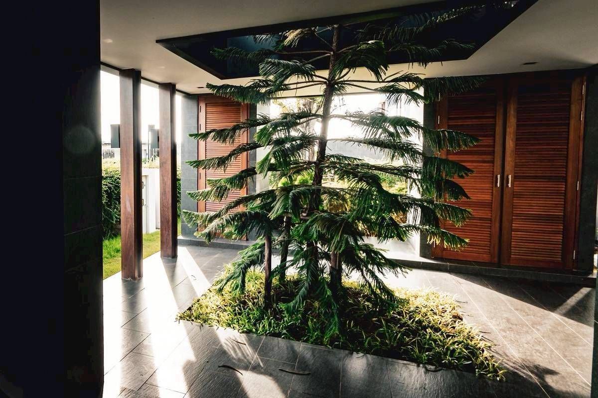 HousePak Chong KhaoYai : House for sale Modern Signature Khao Yai Pool Villa 1 Rai 75 sq.wah, Pak Chong District, Nakhon Ratchasima Province