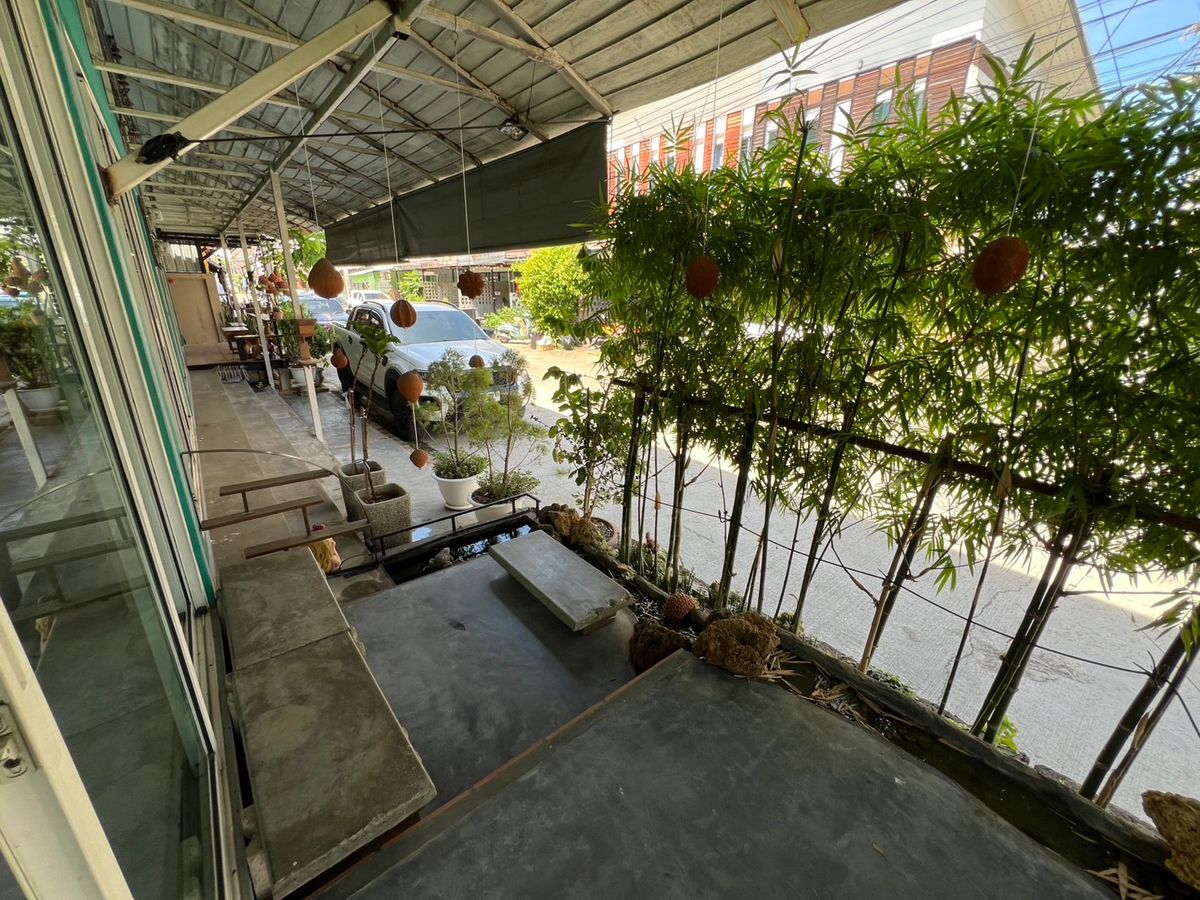 ขายอาคารพาณิชย์เชียงใหม่ : ขายอาคารพาณิชย์ ซอยหมอประมวล ตำบลหนองหาร อำเภอสันทราย จังหวัดเชียงใหม่