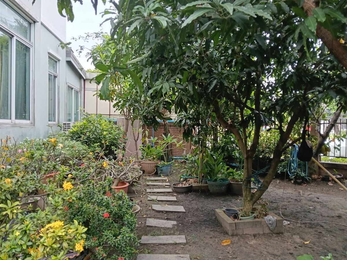 ขายบ้านนวมินทร์ รามอินทรา : บ้านเดี่ยว เดอะแพลนท์ วงแหวน-รามอินทรา1 80 ตรว.พื้นที่เยอะ เดินทางสะดวก ใกล้ทางด่วน ใกล้แจ๊สคู้บอน