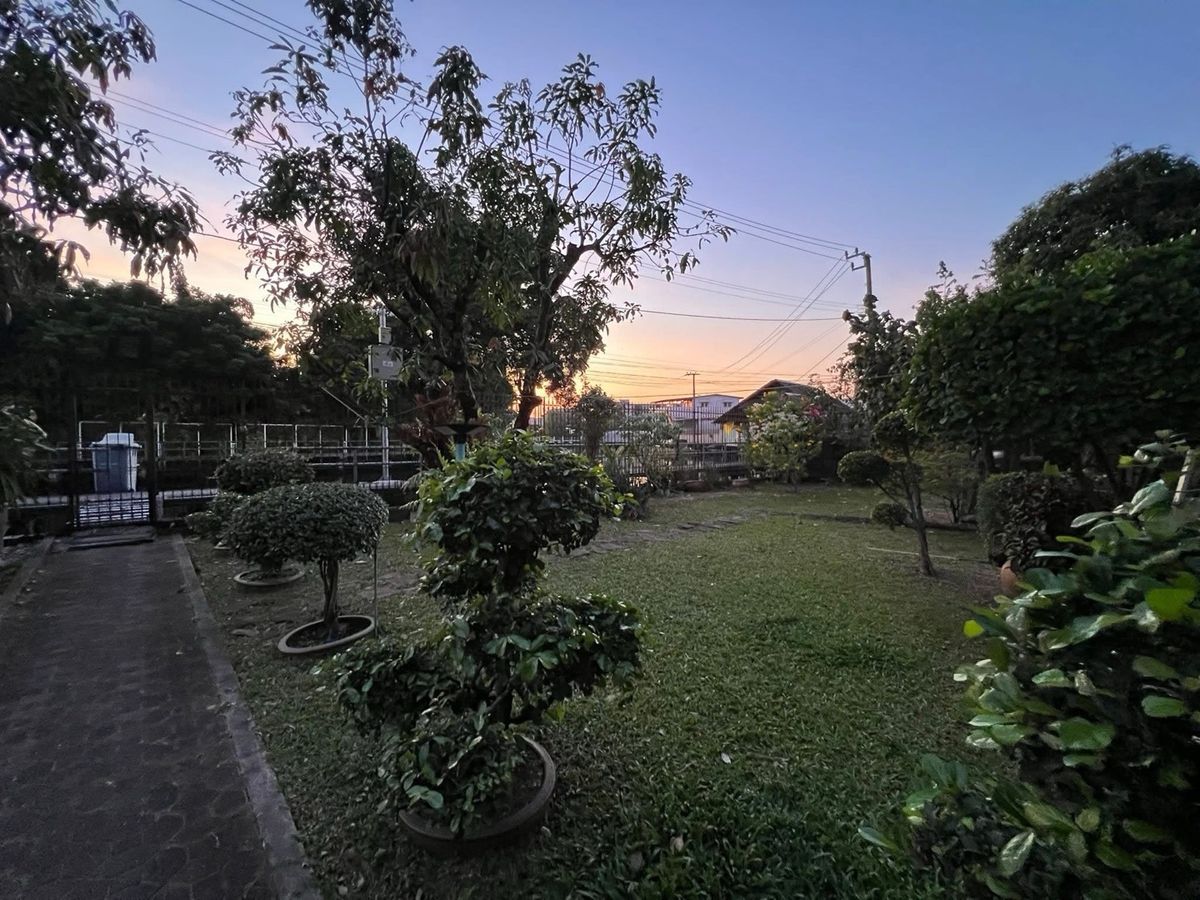 ขายที่ดินอ่อนนุช อุดมสุข : 📢👇📢👇ห้ามพลาด! ที่ดินผืนใหญ่ทำเลทองใจกลางอ่อนนุช ลดราคาพิเศษ จาก 40 ล้านบาท เหลือเพียง 25 ล้านบาท — โอกาสดีที่หาได้ยาก