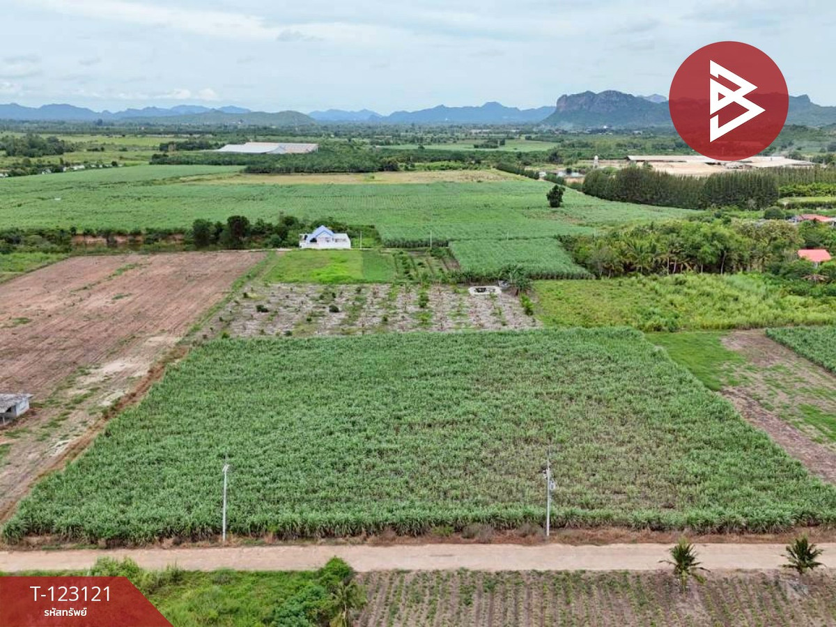 ขายที่ดิน เนื้อที่ 7 ไร่ ถ.แม่น้ำแม่กลอง ด่านมะขามเตี้ย กาญจนบุรี Loading...