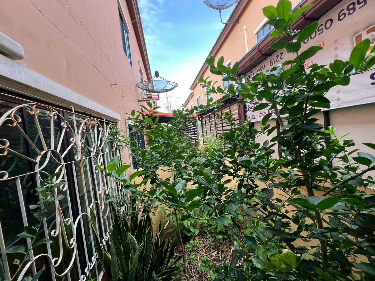 ขายทาวน์โฮมอยุธยา : ขายทาวน์เฮ้าส์ หมู่บ้านเดอะพาลาซโต้ พื้นที่ใหญ่ 30.1 ตรว. หน้ากว้าง 7 เมตร จอดรถได้ 2 คัน แบบสบายๆ ราคาสุดคุ้ม ทำเลดีเลิศ ใกล้แหล่งงาน