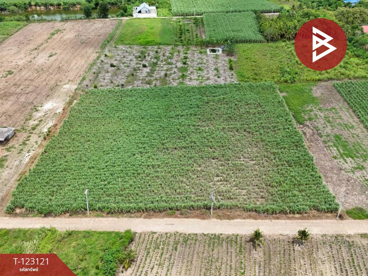 ขายที่ดิน เนื้อที่ 7 ไร่ ถ.แม่น้ำแม่กลอง ด่านมะขามเตี้ย กาญจนบุรี Loading...