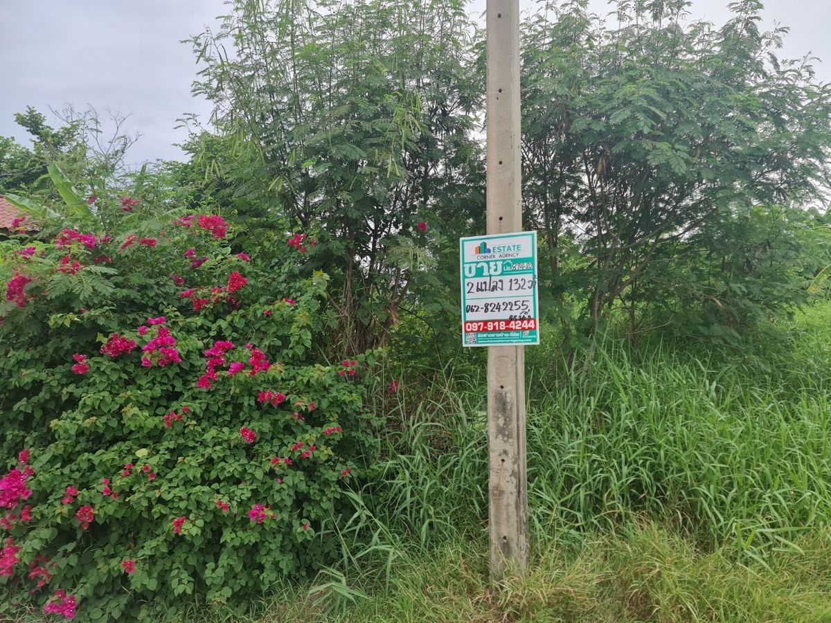 For SaleLandSamut Prakan,Samrong : Selling very cheap, 2 -plots of land next to each other, Krisada City Lake and Park, area 131.9 sq.w., Thepharak Road, Bang Pla, Bang Phli, Samut Prakan