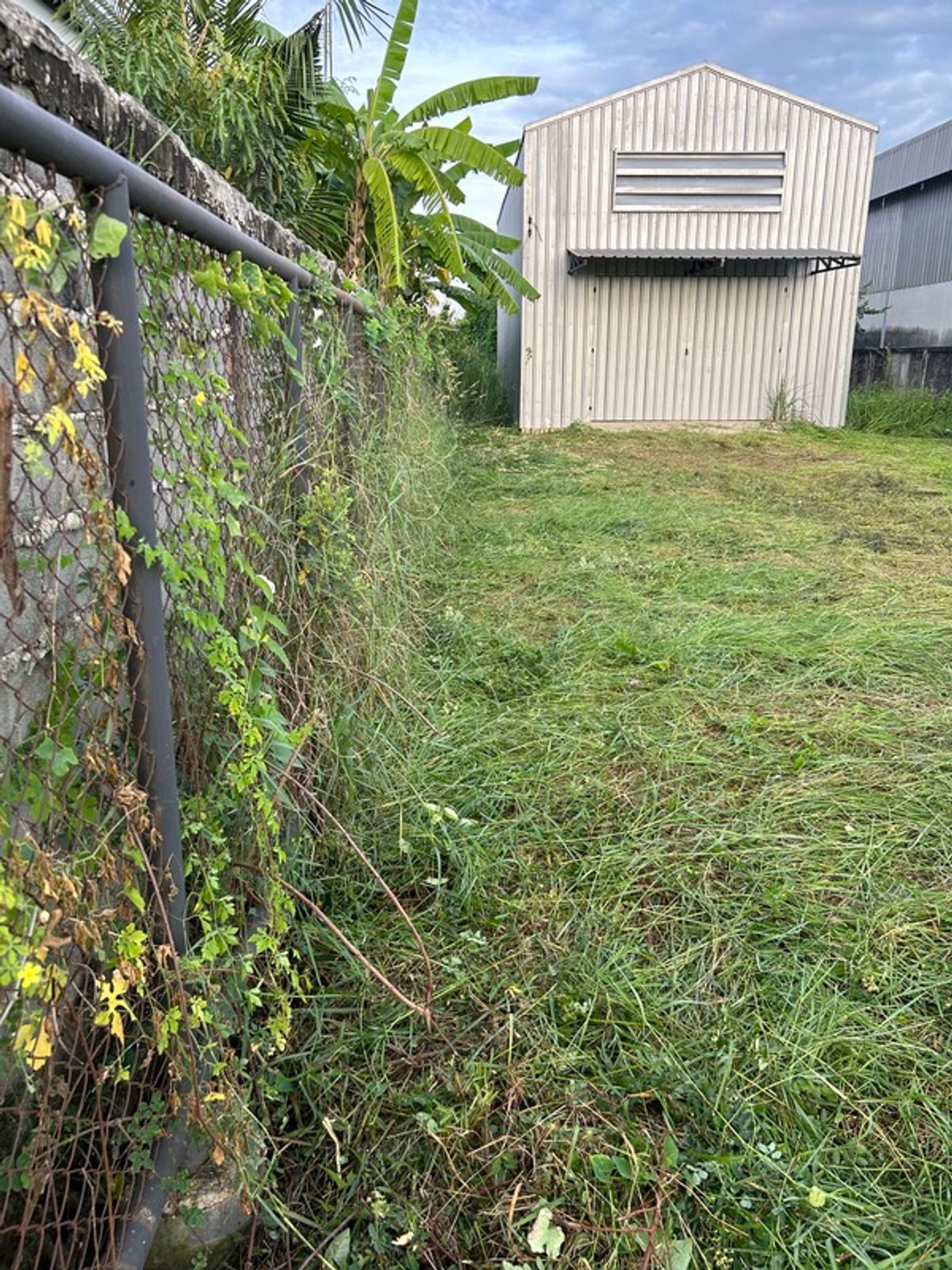 ที่ดินนนทบุรี บางใหญ่ บางบัวทอง : ขายและให้เช่าที่ดินสวย 100 ตรว. พร้อมโกดัง พื้นที่ใช้สอย 72 ตรม. ใกล้โรงเรียน สารสาสน์วิเทศ บางบัวทอง