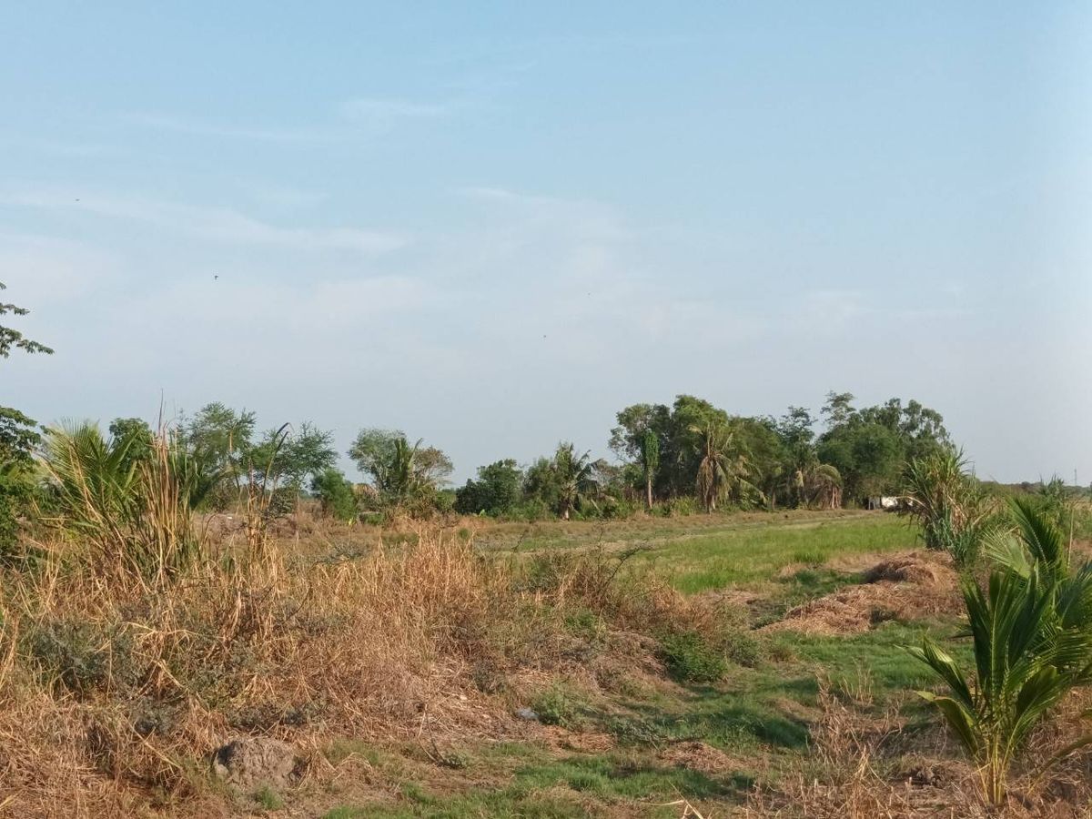 ขายที่ดินปทุมธานี รังสิต ธรรมศาสตร์ : ขายที่ดินเปล่า เป็นพื้นที่สีม่วง (เยื้อง อบต.ลำลูกกา) เหมาะกับการสร้างโรงงาน ขนาด 34-3-3.2 ไร่ ลำลูกกาคอลง 8 ปทุมธานี