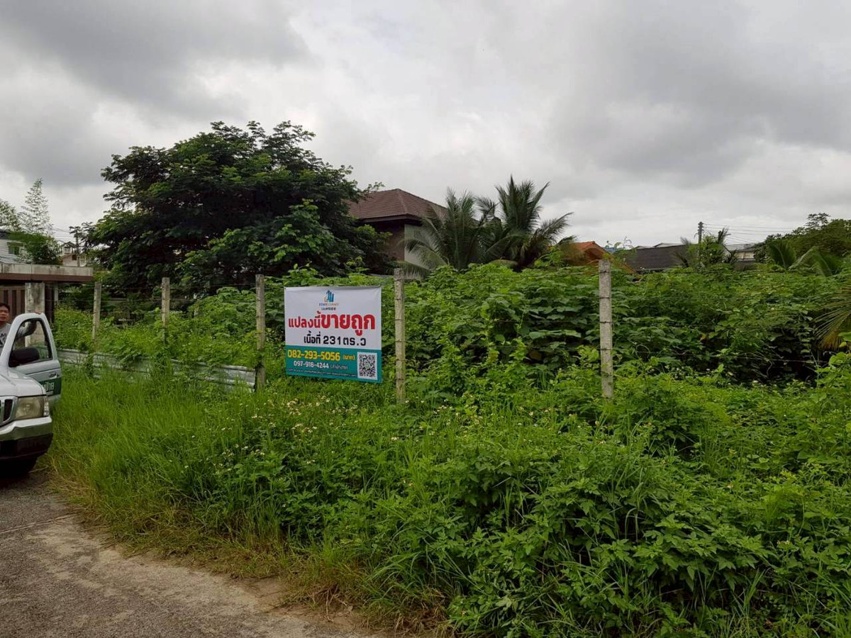 For SaleLandChiang Mai : Land for sale, gold location In the heart of the business district and community, size 231 square wah, Fah Ham Subdistrict, Mueang Chiang Mai District, Chiang Mai Province