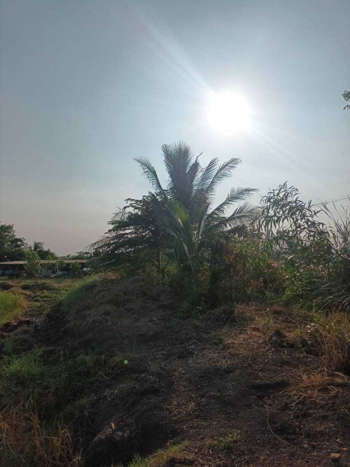 ขายที่ดินปทุมธานี รังสิต ธรรมศาสตร์ : ขายที่ดินเปล่า เป็นพื้นที่สีม่วง (เยื้อง อบต.ลำลูกกา) เหมาะกับการสร้างโรงงาน ขนาด 34-3-3.2 ไร่ ลำลูกกาคอลง 8 ปทุมธานี