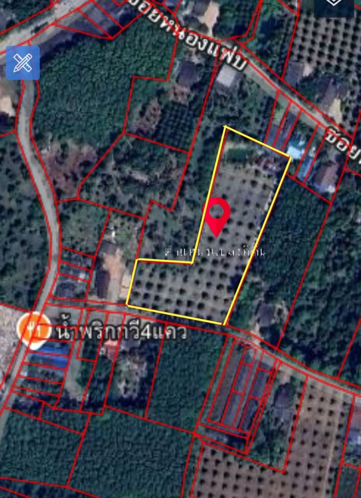 ขายที่ดินระยอง : ขายด่วน สวนทุเรียน  แกลง ระยอง 5-1-84.6 ไร่