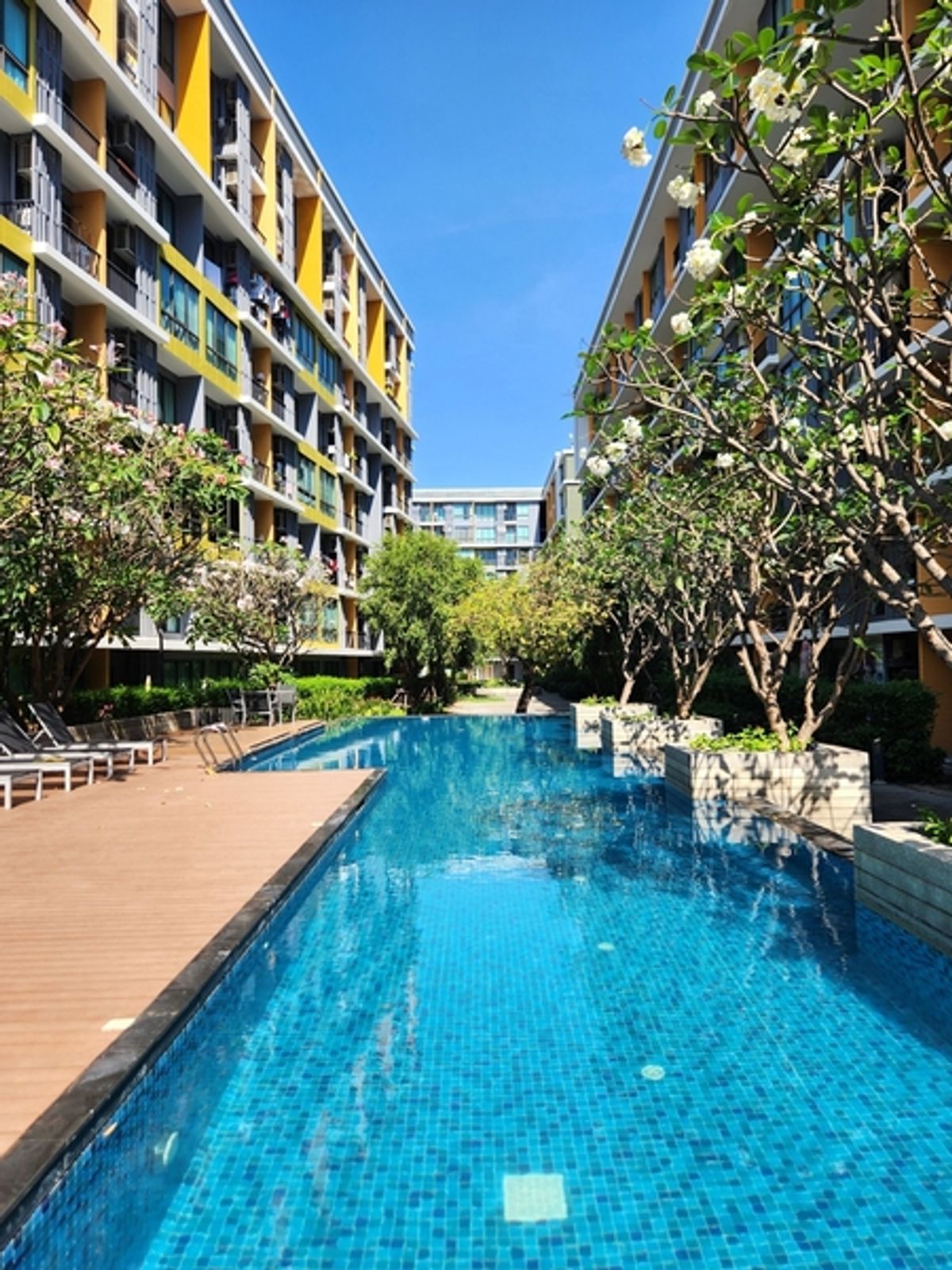 ขายคอนโดอ่อนนุช อุดมสุข : ขาย 2-Bed ห้องมุม วิวสระ สไตล์รีสอร์ท ICondo สุขุมวิท 103 อุดมสุข