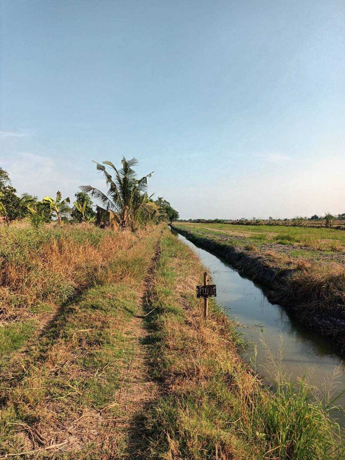ขายที่ดินปทุมธานี รังสิต ธรรมศาสตร์ : ขายที่ดินเปล่า เป็นพื้นที่สีม่วง (เยื้อง อบต.ลำลูกกา) เหมาะกับการสร้างโรงงาน ขนาด 34-3-3.2 ไร่ ลำลูกกาคอลง 8 ปทุมธานี