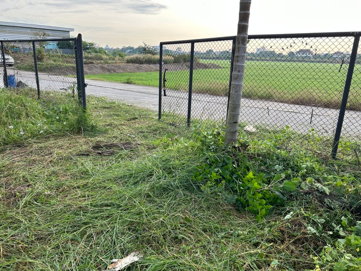 ที่ดินนนทบุรี บางใหญ่ บางบัวทอง : ขายและให้เช่าที่ดินสวย 100 ตรว. พร้อมโกดัง พื้นที่ใช้สอย 72 ตรม. ใกล้โรงเรียน สารสาสน์วิเทศ บางบัวทอง