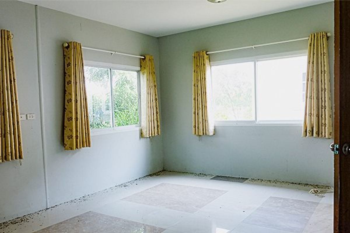 ขายบ้านศรีราชา แหลมฉบัง บ้านบึง : ขาย บ้านเดี่ยวชั้นเดียวพร้อมที่ดิน หมู่บ้านพฤกษาแลนด์ หนองชาก บ้านบึง