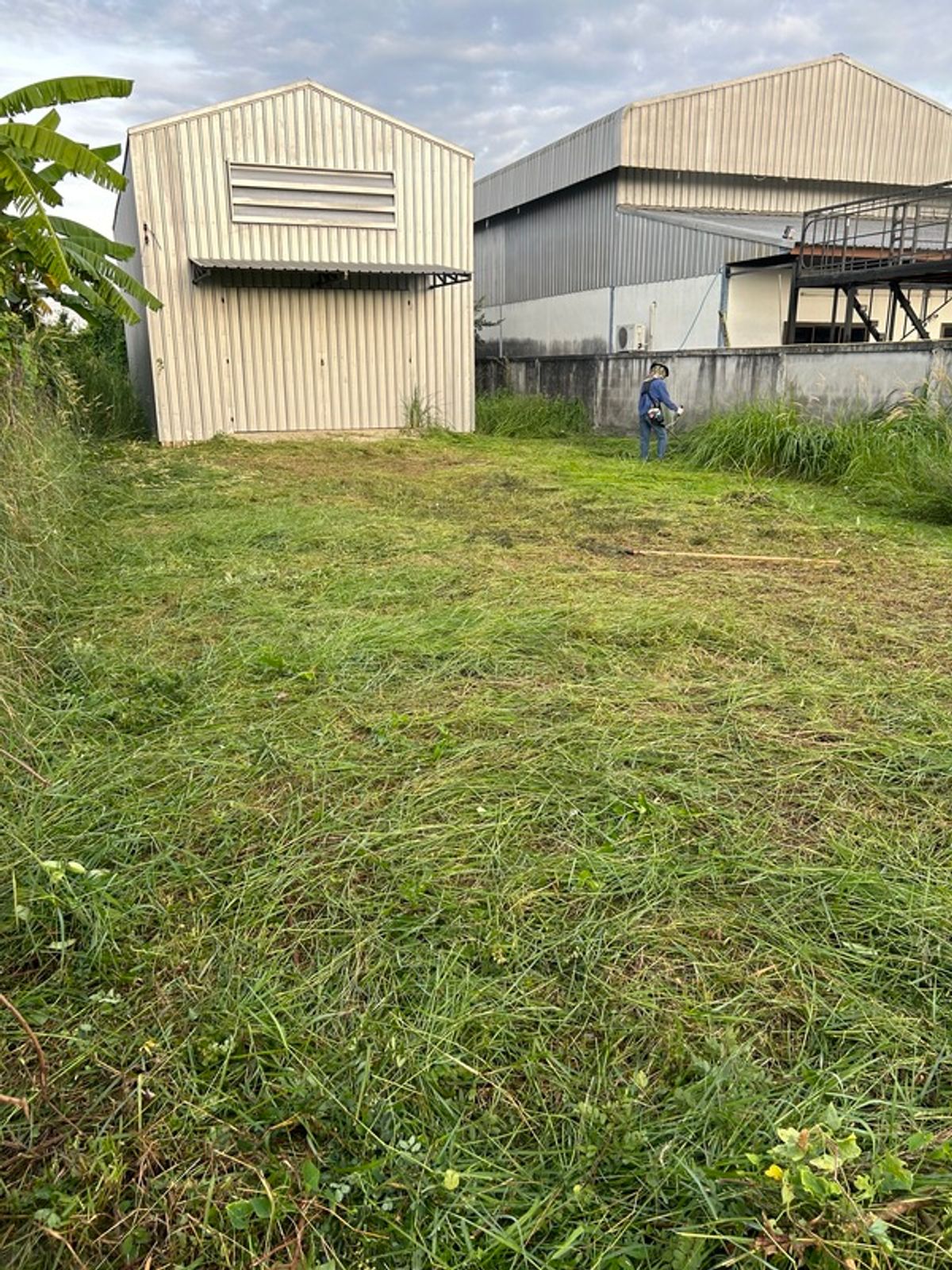 ที่ดินนนทบุรี บางใหญ่ บางบัวทอง : ขายและให้เช่าที่ดินสวย 100 ตรว. พร้อมโกดัง พื้นที่ใช้สอย 72 ตรม. ใกล้โรงเรียน สารสาสน์วิเทศ บางบัวทอง