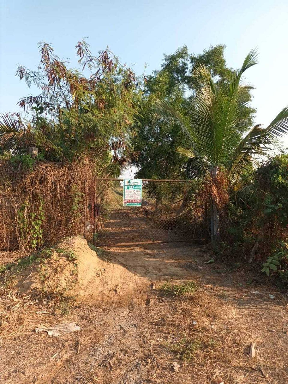 ขายที่ดินปทุมธานี รังสิต ธรรมศาสตร์ : ขายที่ดินเปล่า เป็นพื้นที่สีม่วง (เยื้อง อบต.ลำลูกกา) เหมาะกับการสร้างโรงงาน ขนาด 34-3-3.2 ไร่ ลำลูกกาคอลง 8 ปทุมธานี