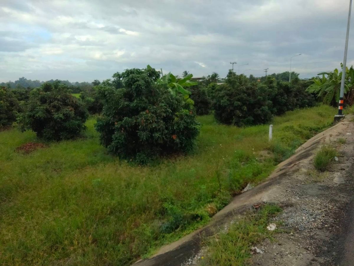 ขายที่ดินเชียงใหม่ : ขายที่ดิน ขนาด 4 ไร่ 18 ตร.วา (ติดถนน 3 ด้าน) อำเภอแม่วาง จ.เชียงใหม่ 