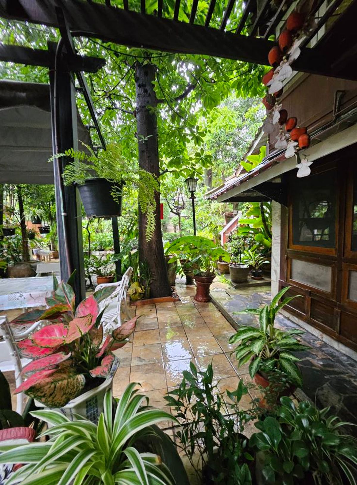 ขายที่ดินอารีย์ อนุสาวรีย์ : Rare item! ขายที่ดินบ้านเก่าแก่มรดกทรงคุณค่าใจกลางพหลโยธิน ขนาด 1 ไร่ 46 ตร.ว. |  เพียง 270 ม. จากปากซอย  |  เดินทางสะดวกเข้าออกหลายทาง