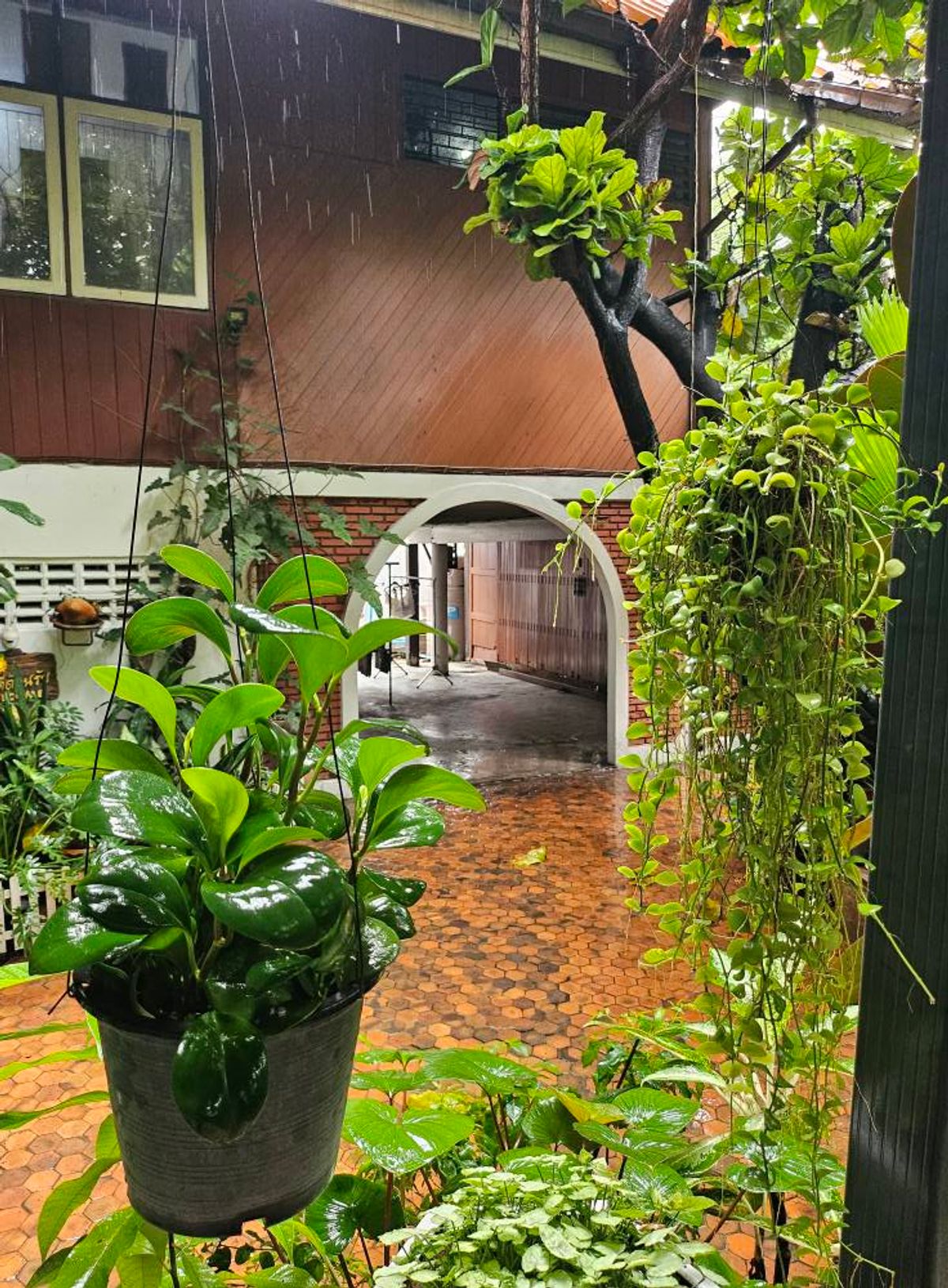 ขายที่ดินอารีย์ อนุสาวรีย์ : Rare item! ขายที่ดินบ้านเก่าแก่มรดกทรงคุณค่าใจกลางพหลโยธิน ขนาด 1 ไร่ 46 ตร.ว. |  เพียง 270 ม. จากปากซอย  |  เดินทางสะดวกเข้าออกหลายทาง