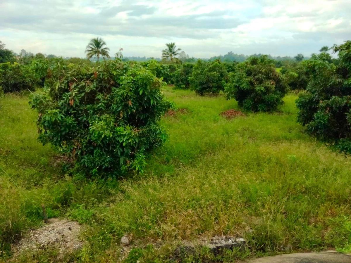 ขายที่ดินเชียงใหม่ : ขายที่ดิน ขนาด 4 ไร่ 18 ตร.วา (ติดถนน 3 ด้าน) อำเภอแม่วาง จ.เชียงใหม่ 