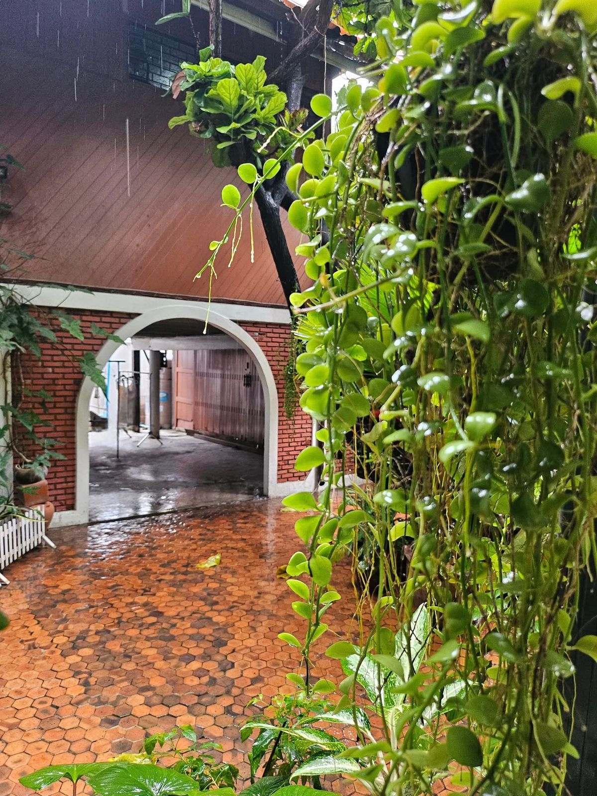 ขายที่ดินอารีย์ อนุสาวรีย์ : Rare item! ขายที่ดินบ้านเก่าแก่มรดกทรงคุณค่าใจกลางพหลโยธิน ขนาด 1 ไร่ 46 ตร.ว. |  เพียง 270 ม. จากปากซอย  |  เดินทางสะดวกเข้าออกหลายทาง