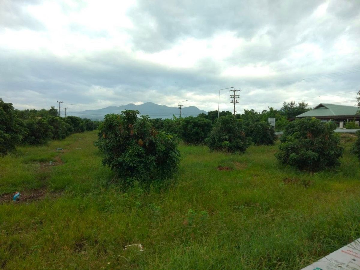 ขายที่ดินเชียงใหม่ : ขายที่ดิน ขนาด 4 ไร่ 18 ตร.วา (ติดถนน 3 ด้าน) อำเภอแม่วาง จ.เชียงใหม่ 