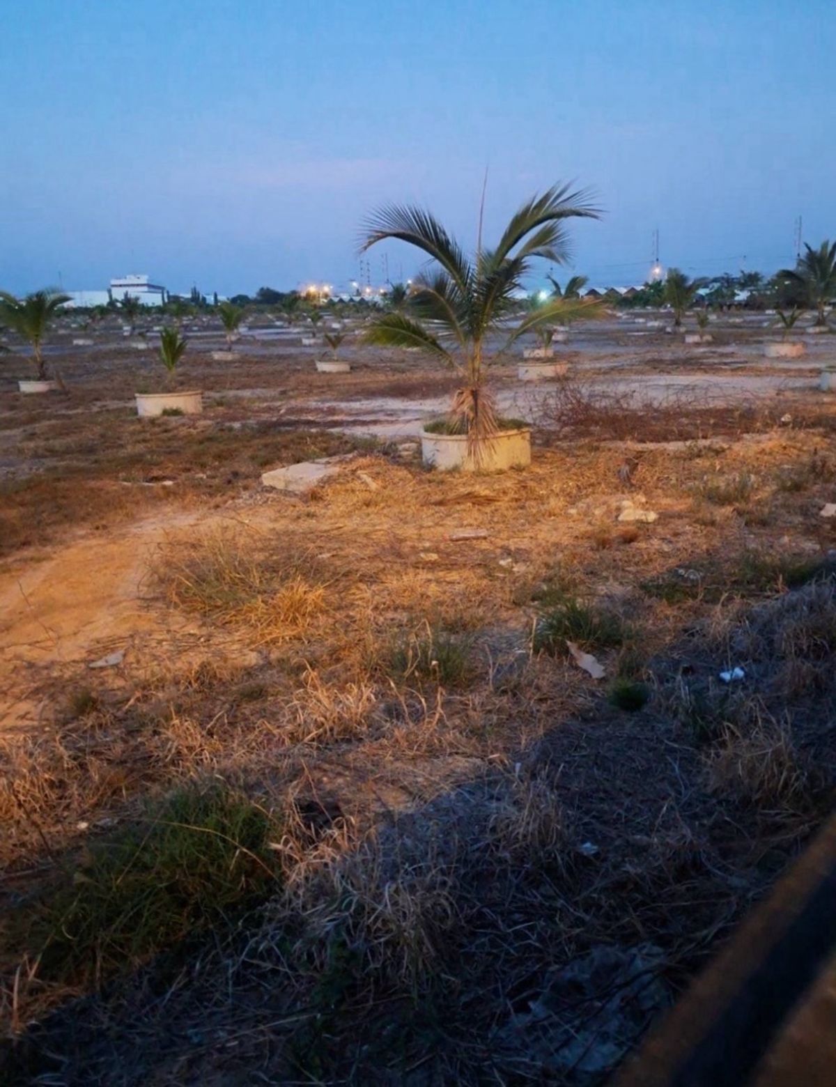 For SaleLandBangna, Bearing, Lasalle : Land on the main road
