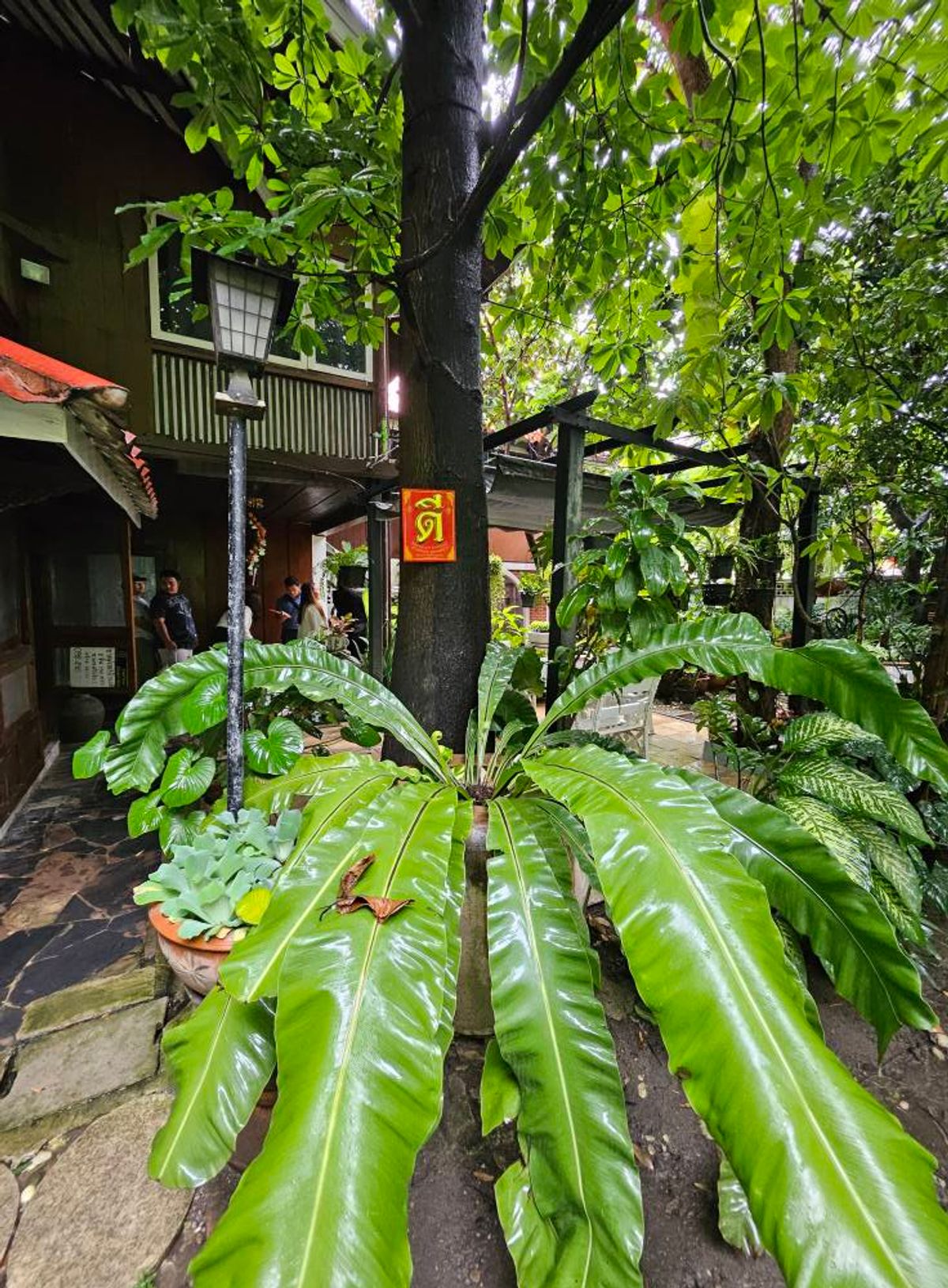 ขายที่ดินอารีย์ อนุสาวรีย์ : Rare item! ขายที่ดินบ้านเก่าแก่มรดกทรงคุณค่าใจกลางพหลโยธิน ขนาด 1 ไร่ 46 ตร.ว. |  เพียง 270 ม. จากปากซอย  |  เดินทางสะดวกเข้าออกหลายทาง